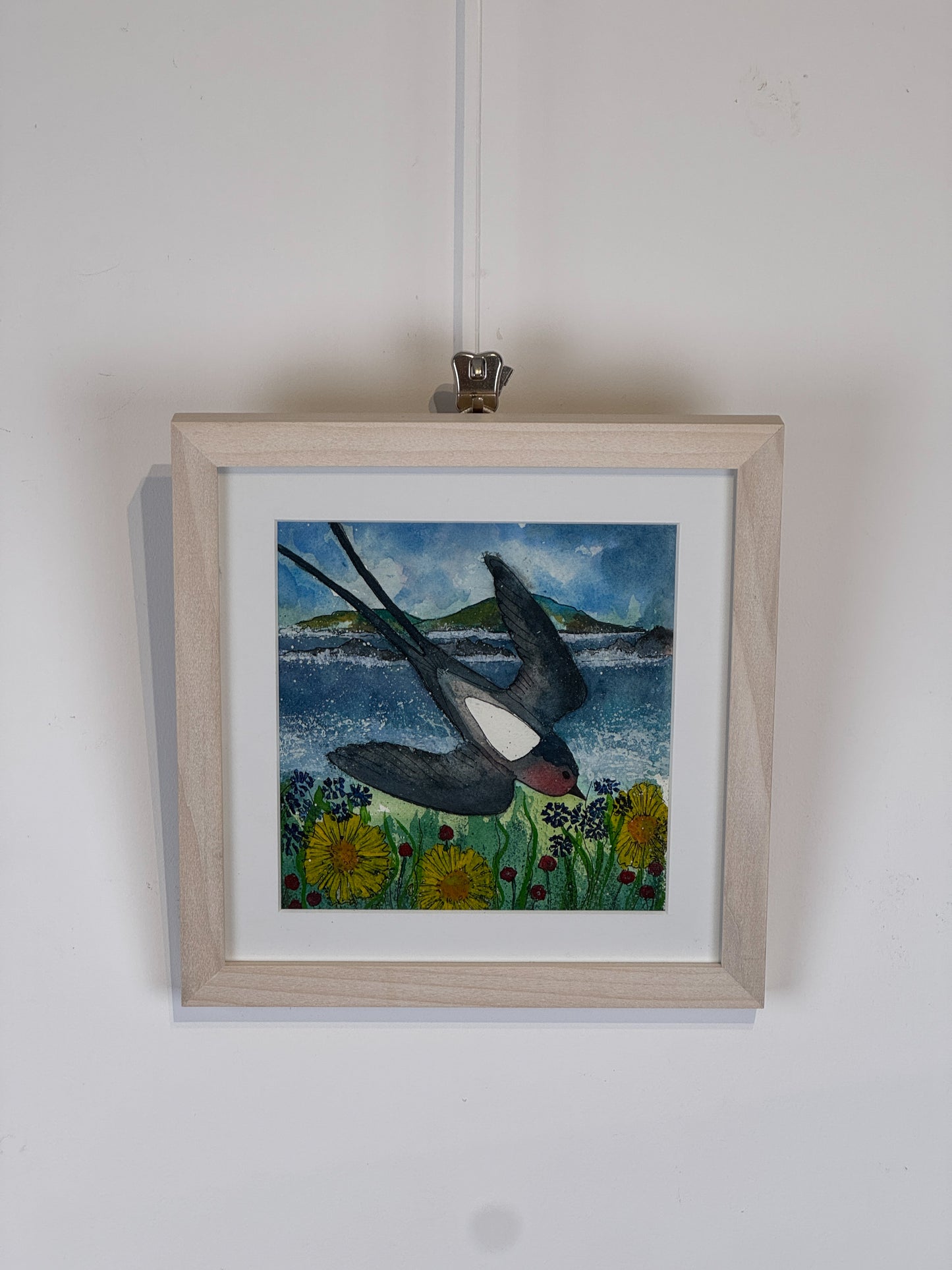 Swallow